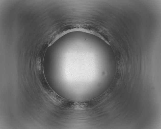 X0000078300368200611172154