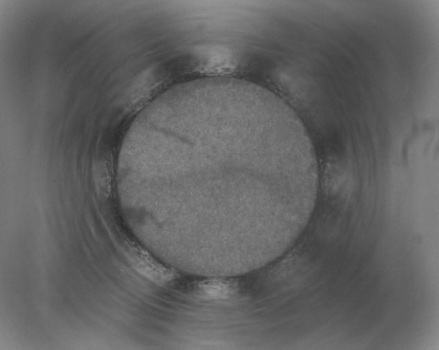 X0000078300370200611172154