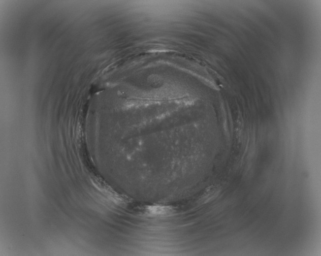 X0000078300371200611172154