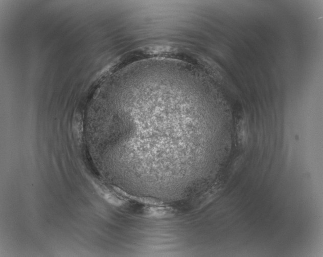 X0000078300372200611172154