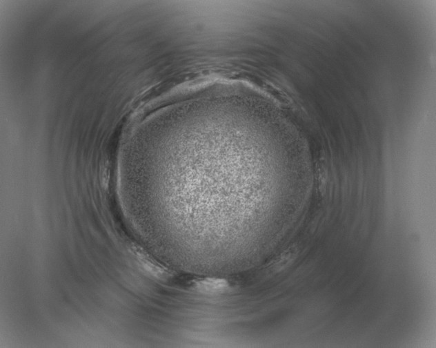 X0000078300374200611172154