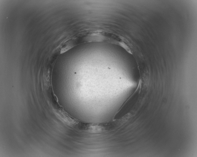 X0000078300376200611172154