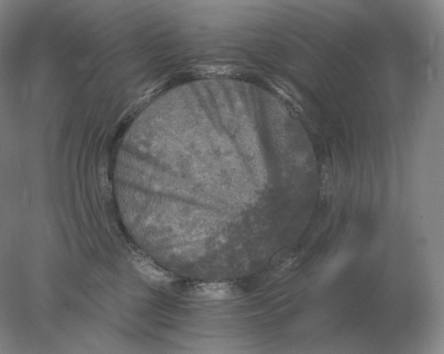 X0000078300377200611172154