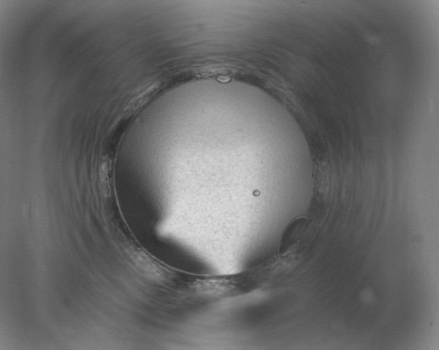 X0000078300378200611172154