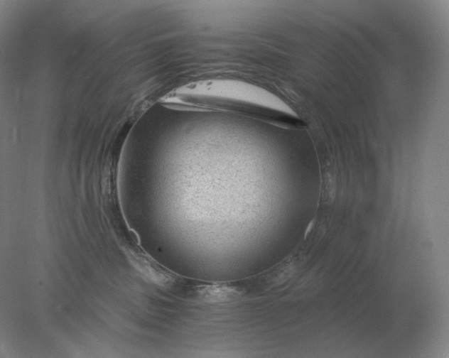 X0000078300379200611172154