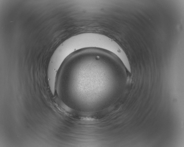 X0000078300380200611172154