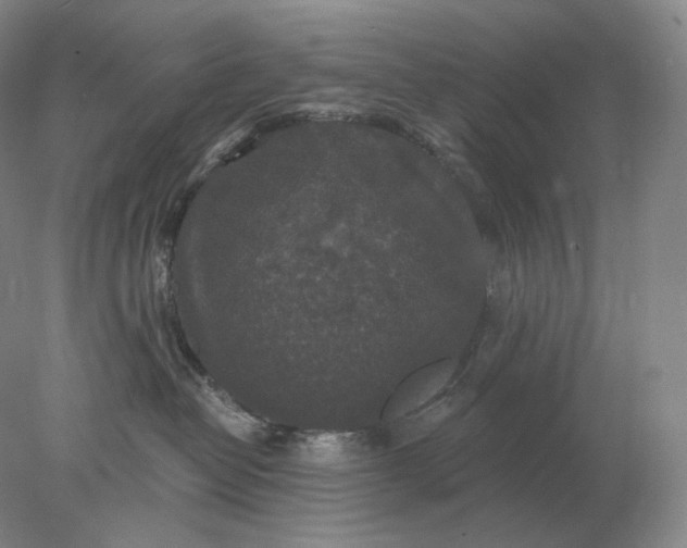 X0000078300382200611172154