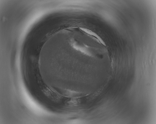 X0000078300383200611172154