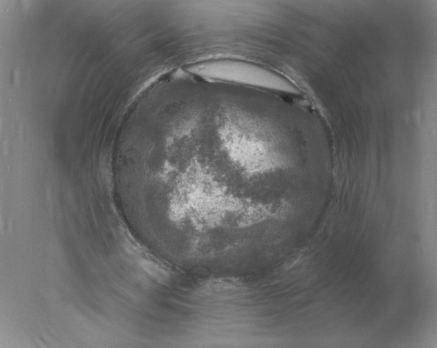 X0000078300386200611172154