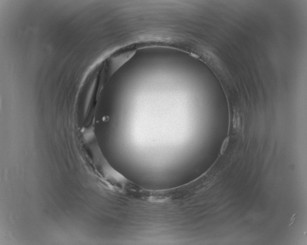 X0000078300388200611172154