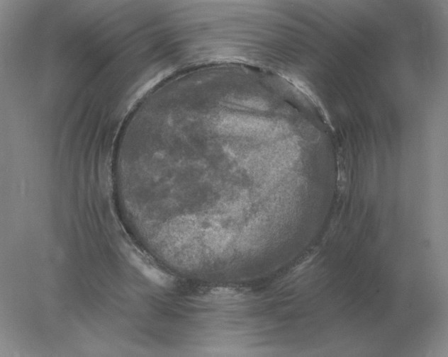 X0000078300390200611172154