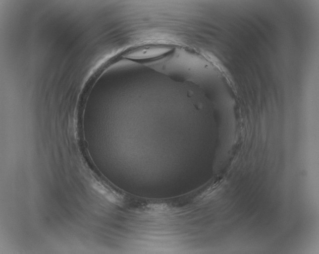 X0000078300391200611172154