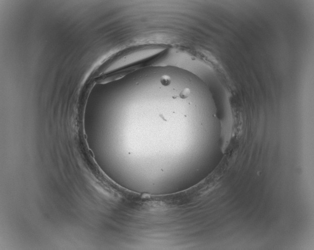 X0000078300392200611172154