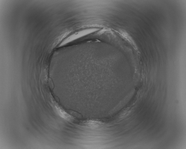 X0000078300393200611172154