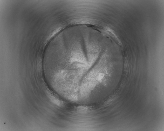 X0000078300394200611172154