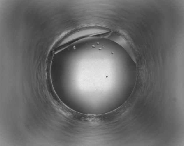 X0000078300395200611172153