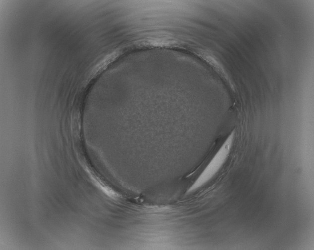 X0000078300397200611172153