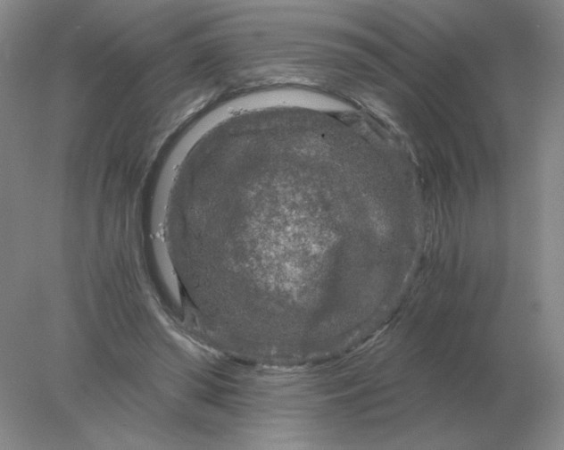 X0000078300398200611172153