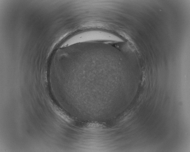 X0000078300399200611172153