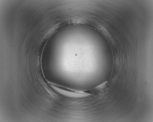 X0000078300401200611172153