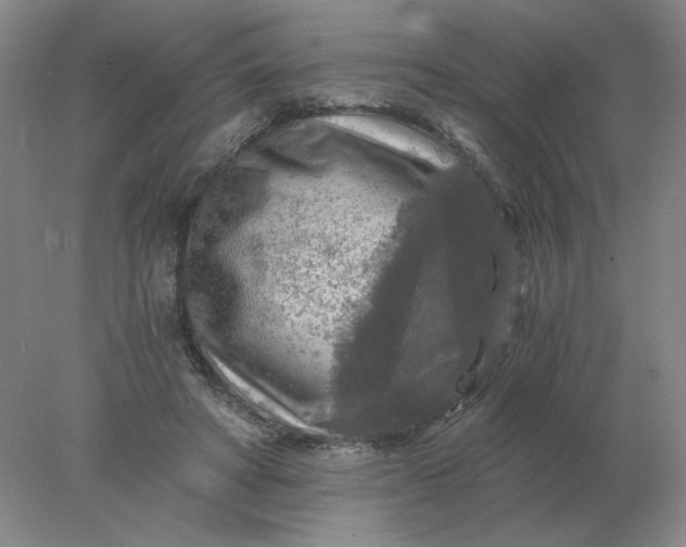 X0000078300402200611172153