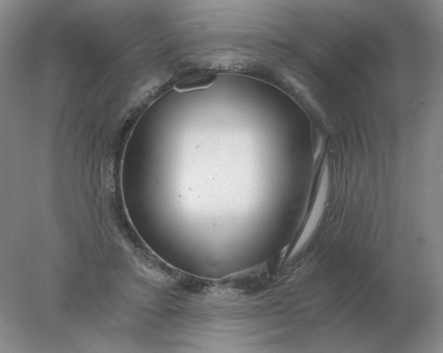 X0000078300403200611172153