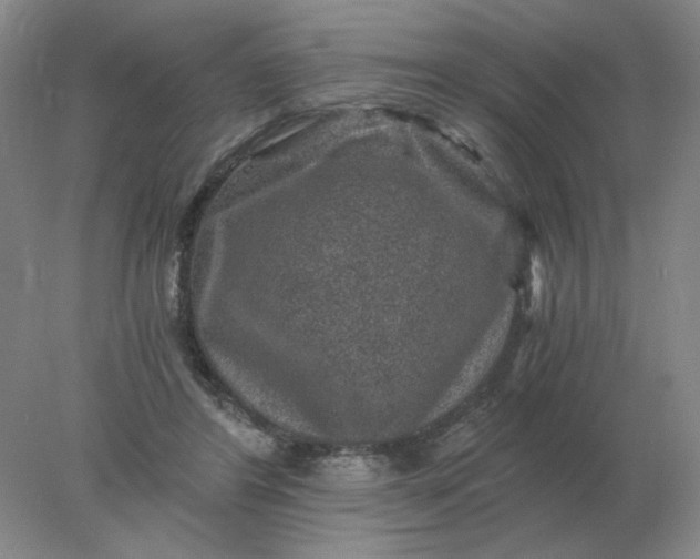 X0000078300404200611172153