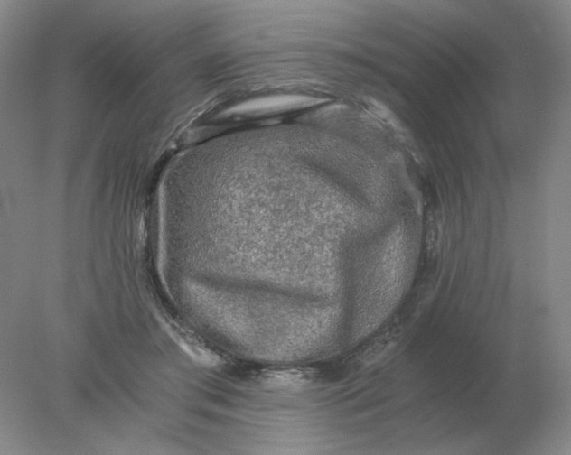 X0000078300405200611172153