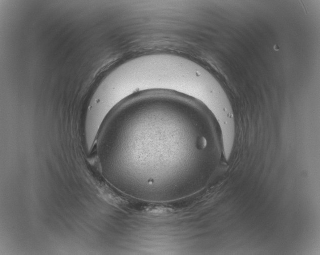 X0000078300407200611172153