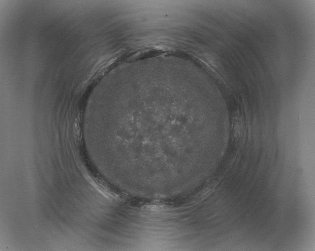 X0000078300408200611172153