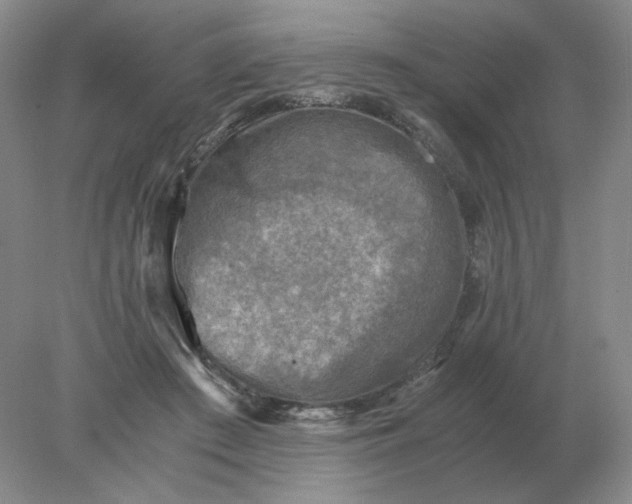 X0000078300409200611172153