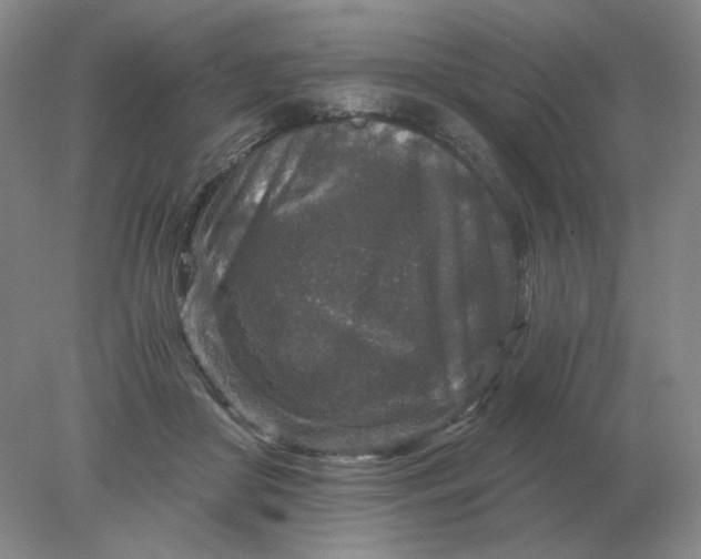 X0000078300410200611172153