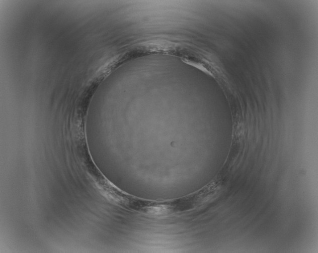 X0000078300411200611172153