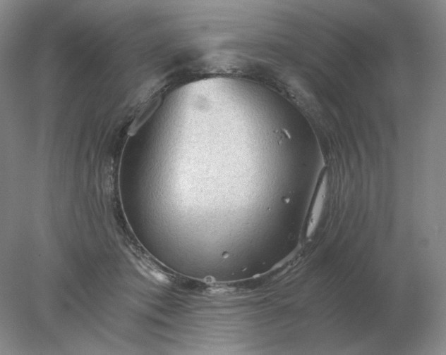 X0000078300413200611172153