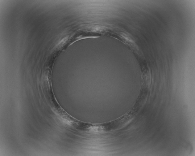 X0000078300415200611172153