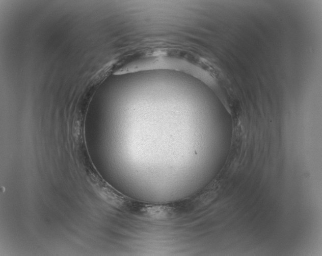 X0000078300417200611172153