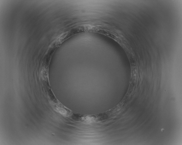 X0000078300419200611172153