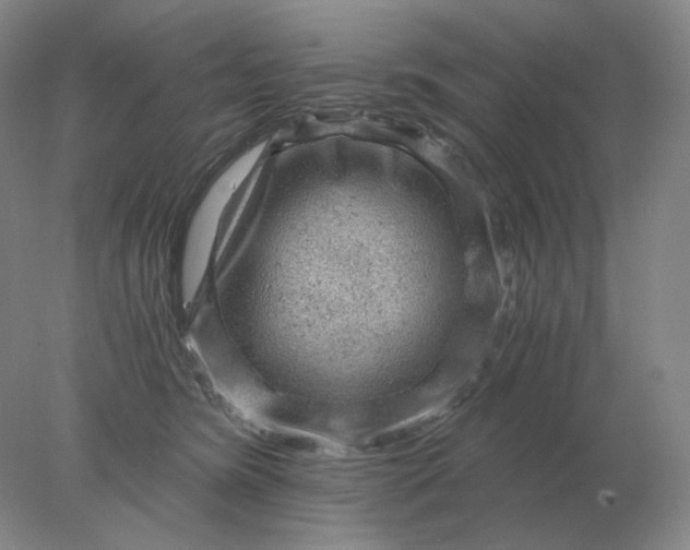 X0000078300420200611172153