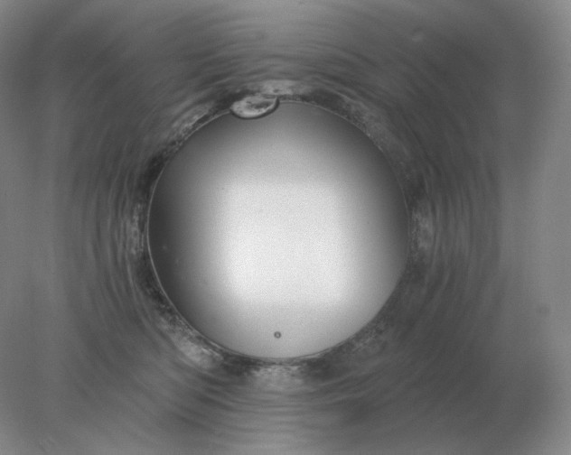 X0000078300422200611172153