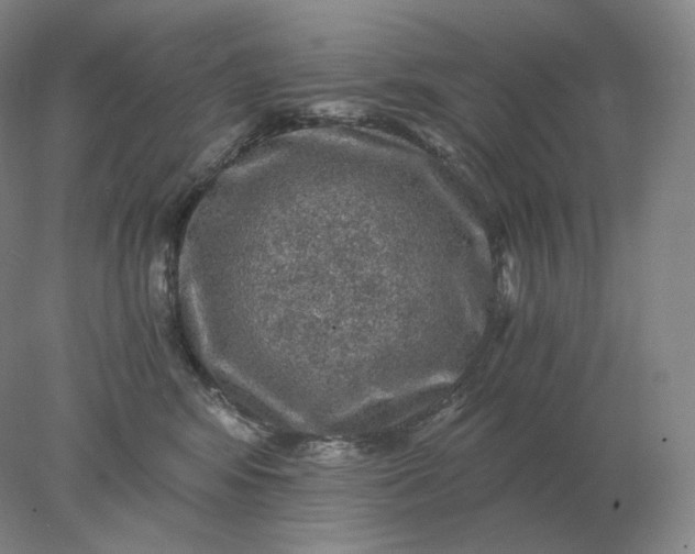 X0000078300424200611172153