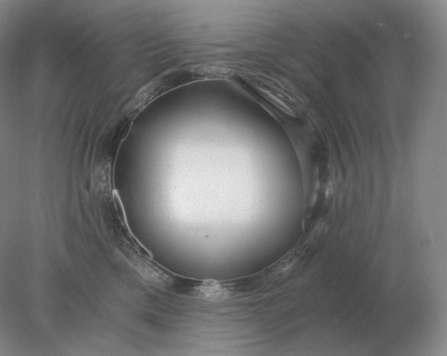 X0000078300425200611172153