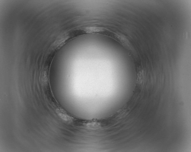 X0000078300426200611172153