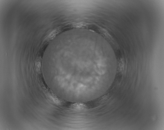 X0000078300427200611172153