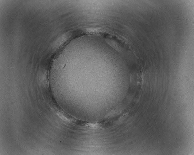 X0000078300428200611172153