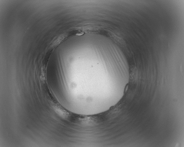 X0000078300430200611172153