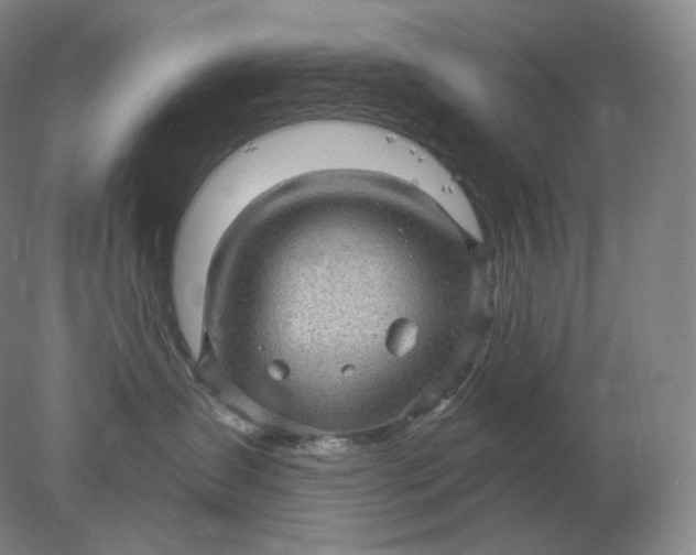 X0000078300431200611172153