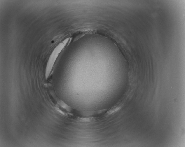 X0000078300432200611172153