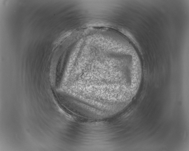 X0000078300433200611172152