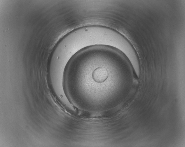 X0000078300434200611172152