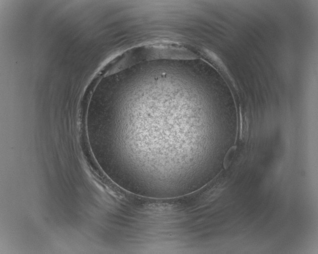 X0000078300435200611172152